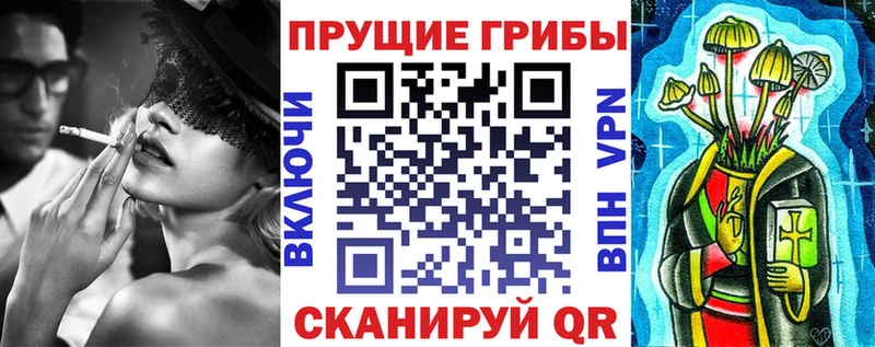 где можно купить наркотик Тулун KRAKEN вход Псилоцибиновые грибы мухоморы