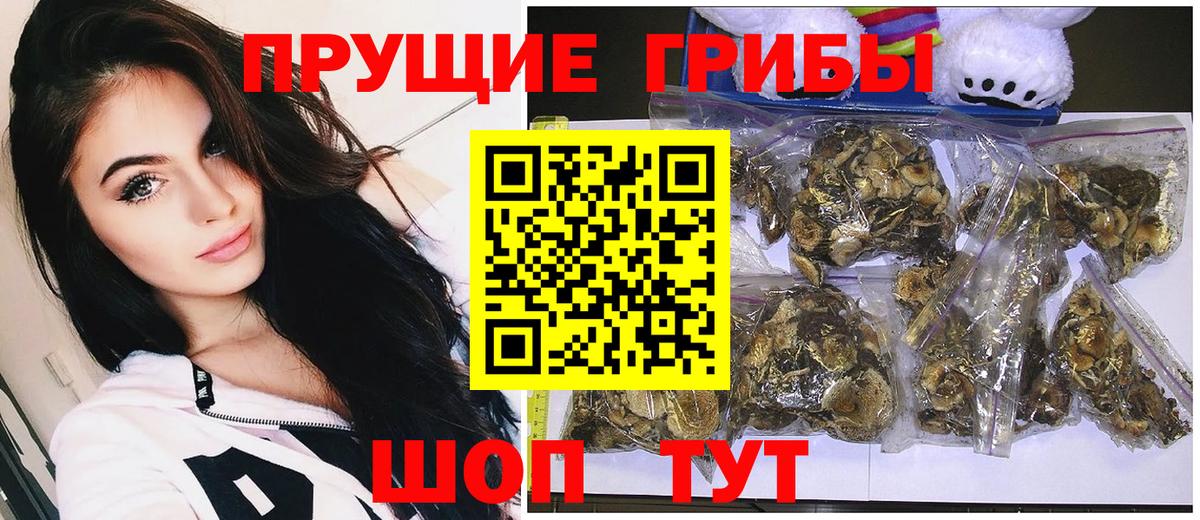 купить  цена  Галлюциногенные грибы Psilocybe  Вход с VPN  Тулун  Псилоцибиновые грибы Magic Shrooms 