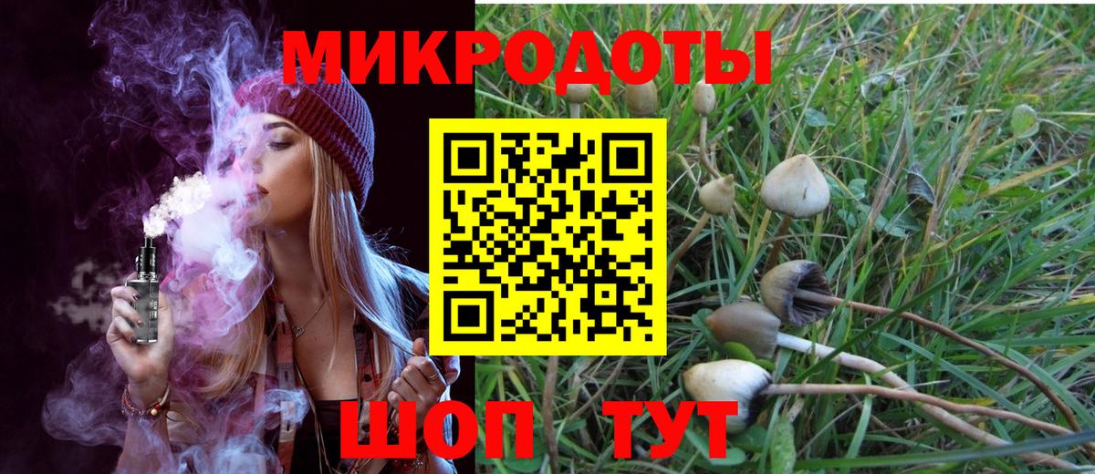 Галлюциногенные грибы MAGIC MUSHROOMS Тулун