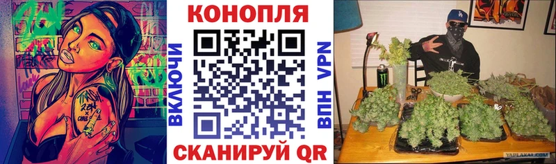 Конопля ГИДРОПОН  закладка  omg как зайти  Тулун 