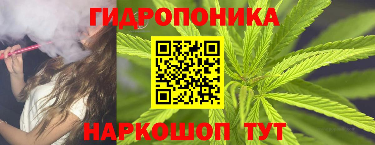 Каннабис Ganja  Вход с VPN  Конопля AK-47  Марихуана марихуана  Тулун 